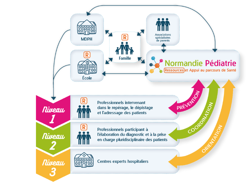 schéma du parcours de soins