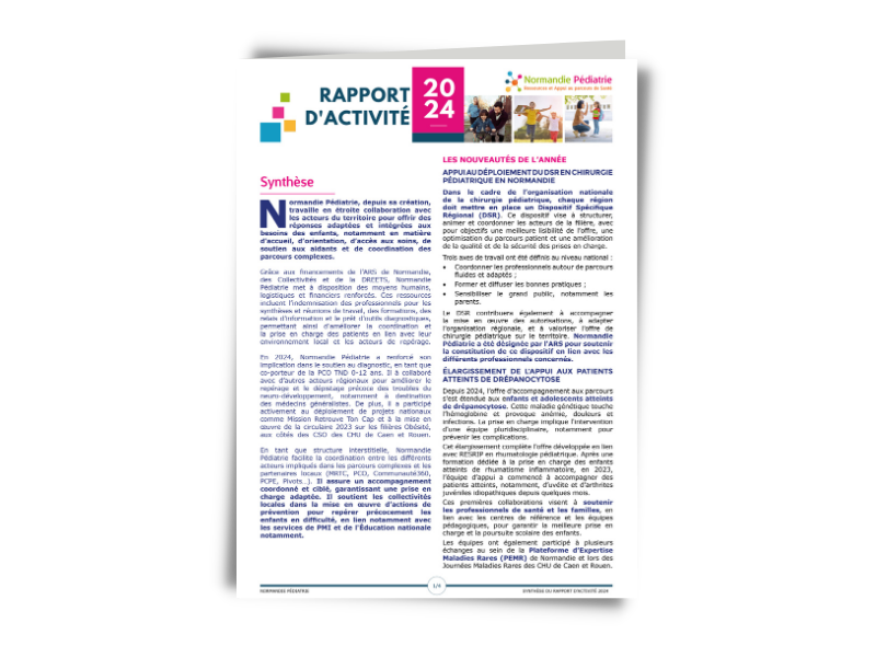 Synthèse du rapport d'activité 2024