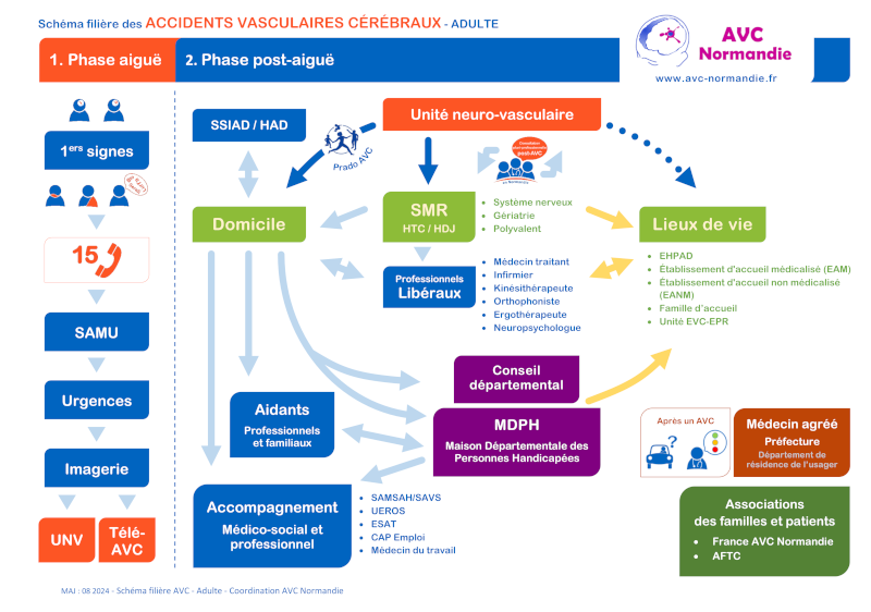 Schéma filière AVC