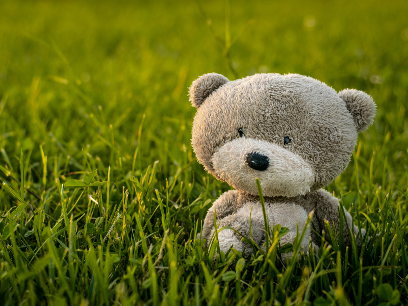 Dispositifs mobilisables parmi l'offre de soins et d'accompagnement médico-social des pathologies chroniques relevant du champ des maladies rares