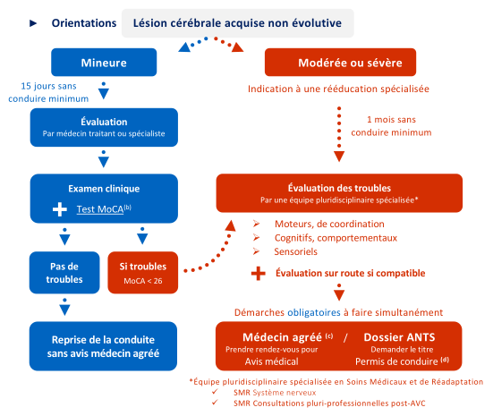 Conduite automobile - Orientations