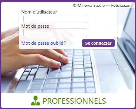 Espace connexion professionnels en établissement