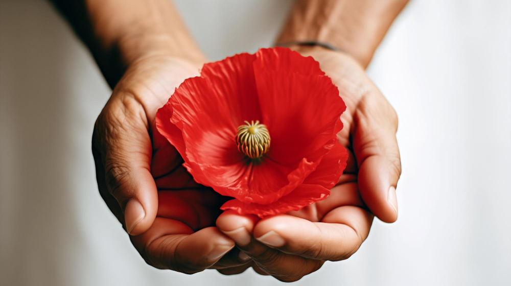 Coquelicot dans la main